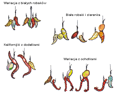 Kanapki na jesień
